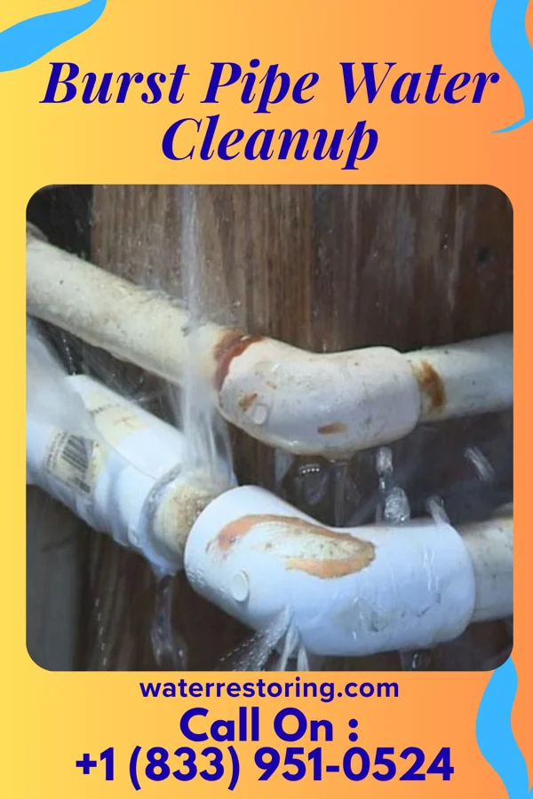 Burst Pipe Water Cleanup in McFall, MO