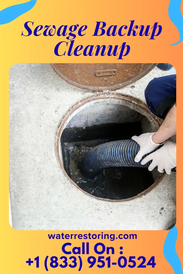 Sewage Backup Cleanup in McFall, MO