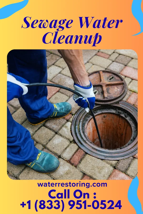 Sewage Water Cleanup in McFall, MO