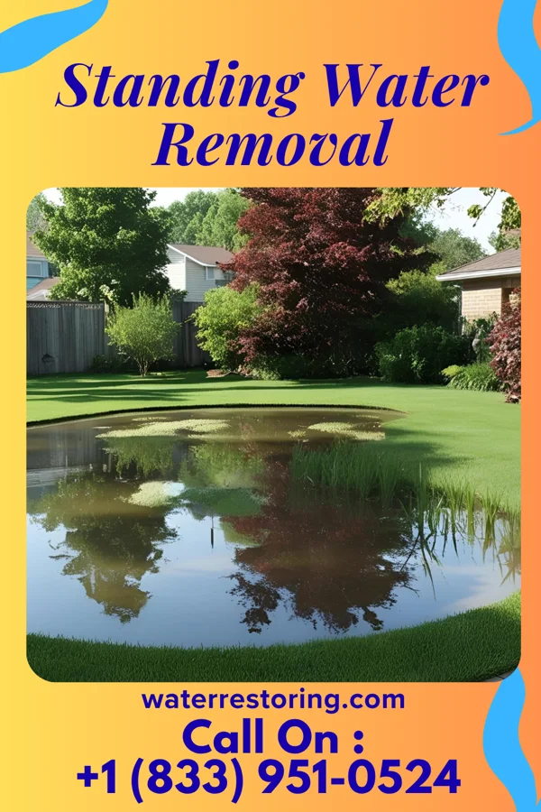 Standing Water Removal in McFall, MO